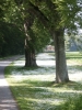 Lolland