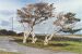 Aran Island