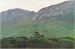 Connemara
